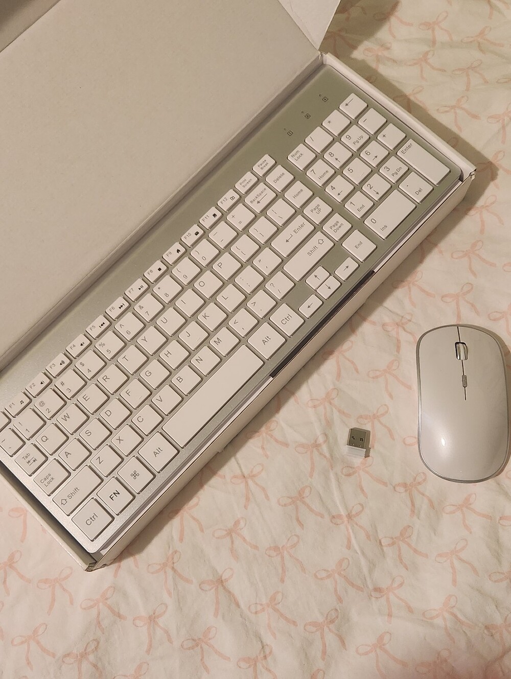 Silver and White Wireless Keyboard and Mouse Set